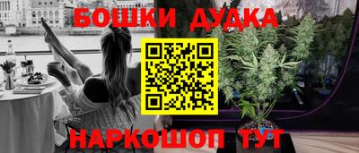 apvp Гусиноозёрск