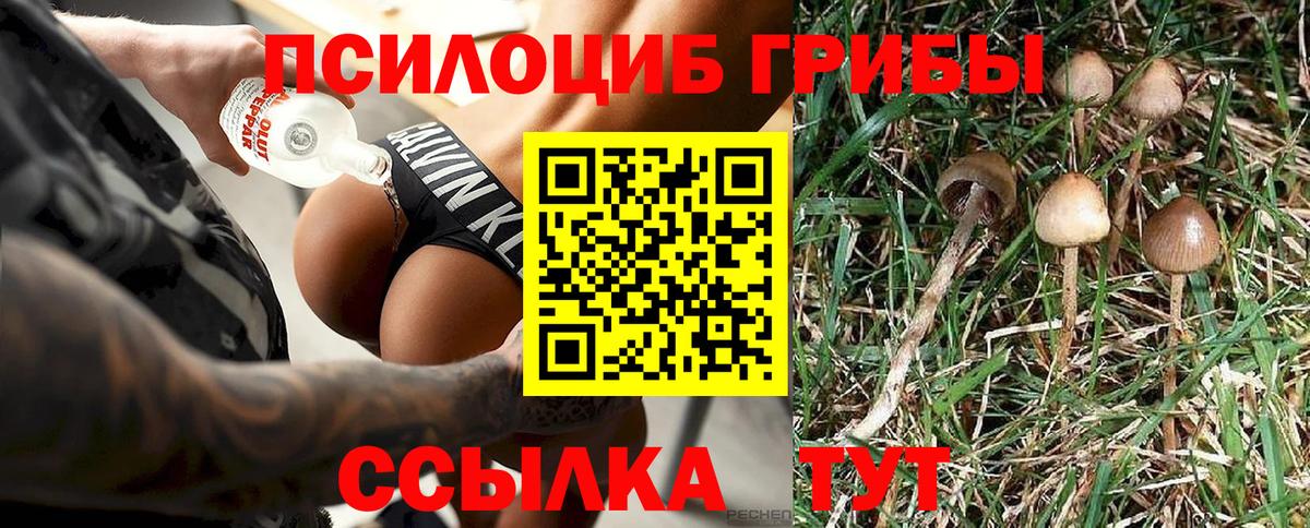Саки  где купить наркоту  Вход с VPN  Галлюциногенные грибы Psilocybe 